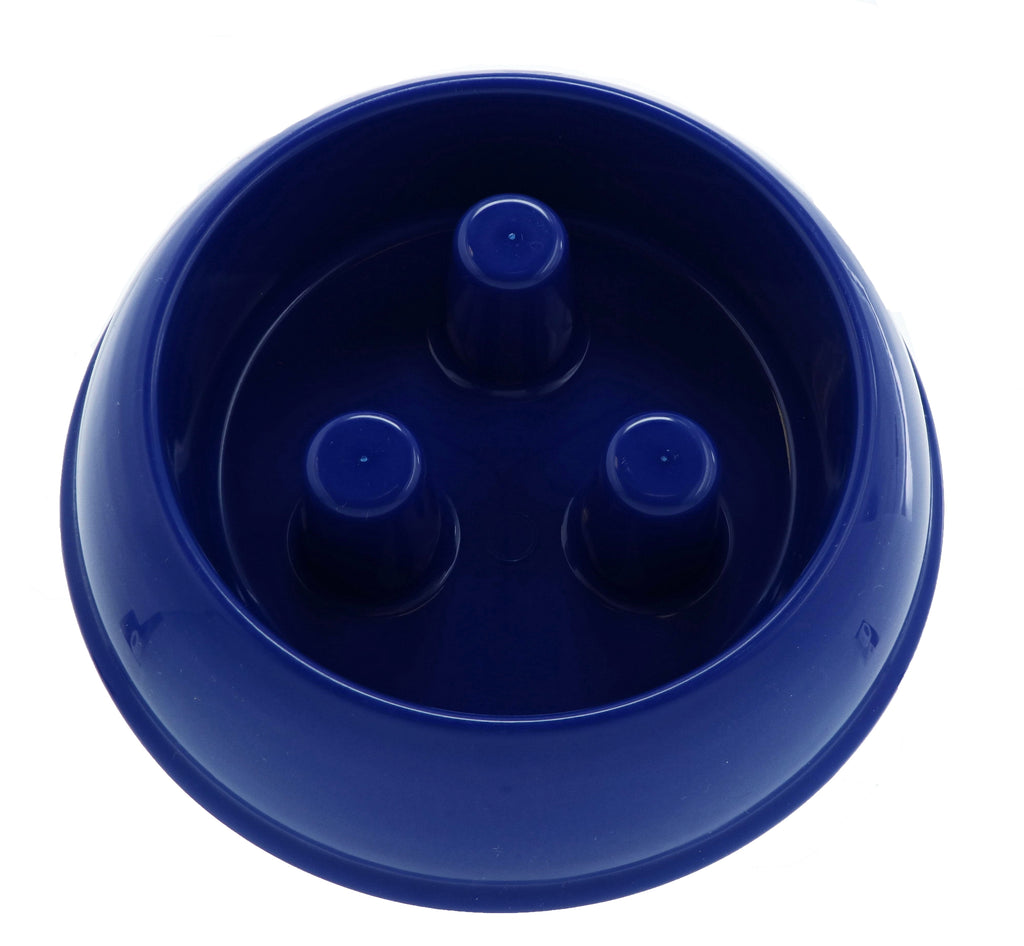 Plastic Slow Feeder Dog Bowl 40Oz, Blue
