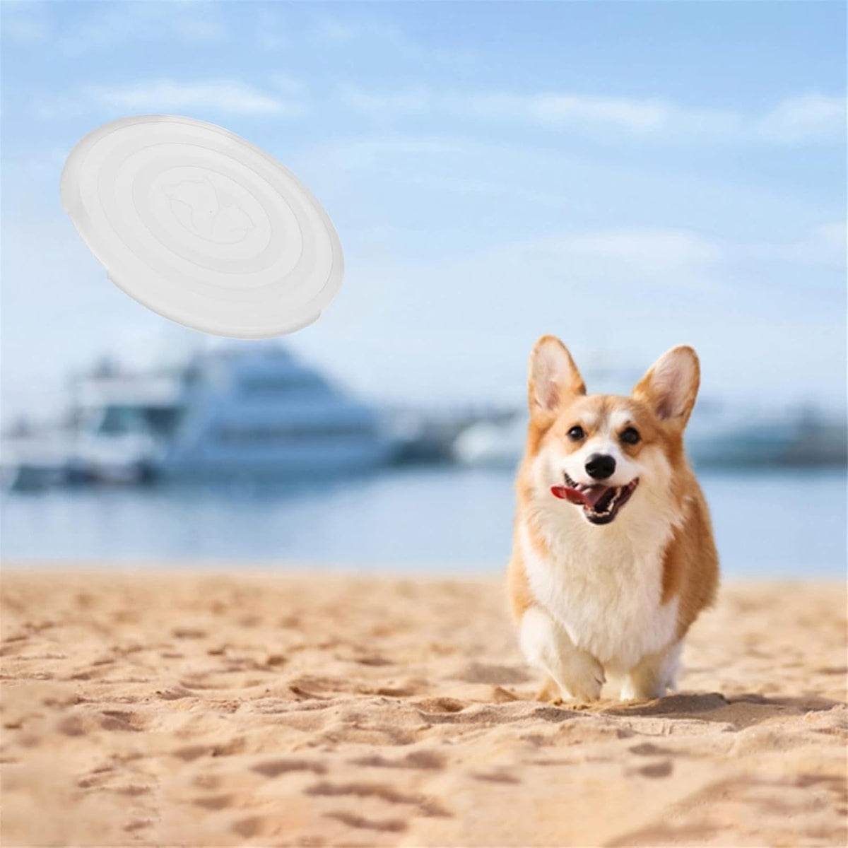 2-Pack Collapsible Dog Bowl