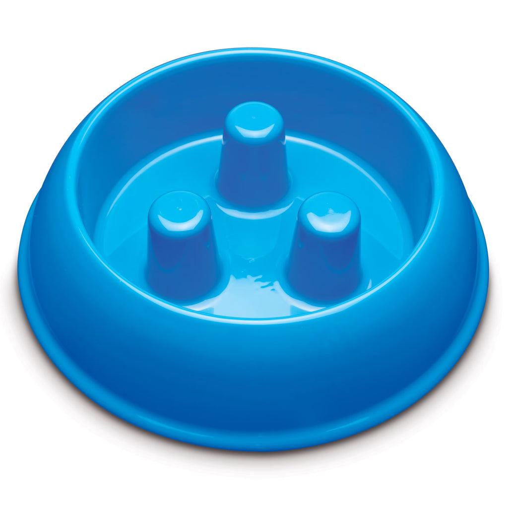 Plastic Slow Feeder Dog Bowl 40Oz, Blue