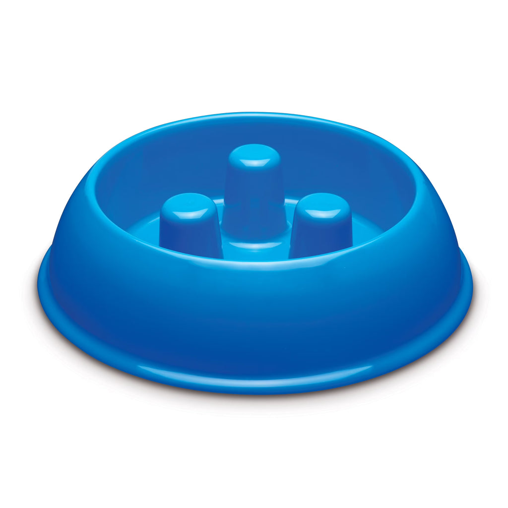 Plastic Slow Feeder Dog Bowl 40Oz, Blue