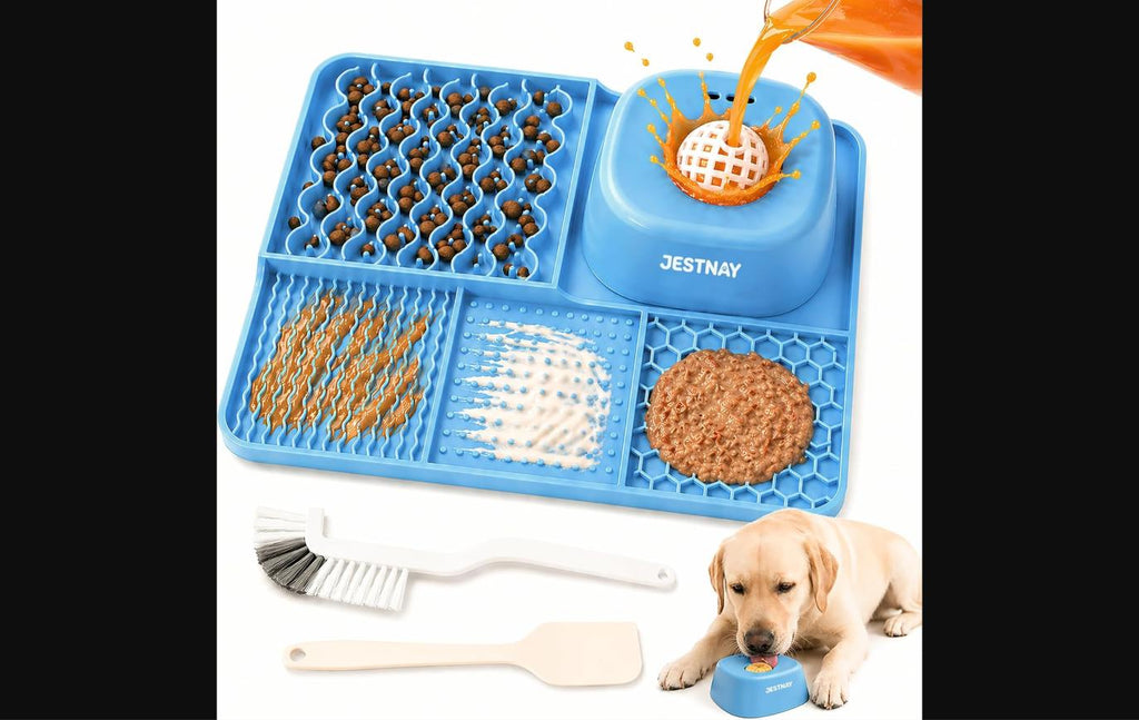 Dog Lick Mat & Slow Feeder Bowl Combo