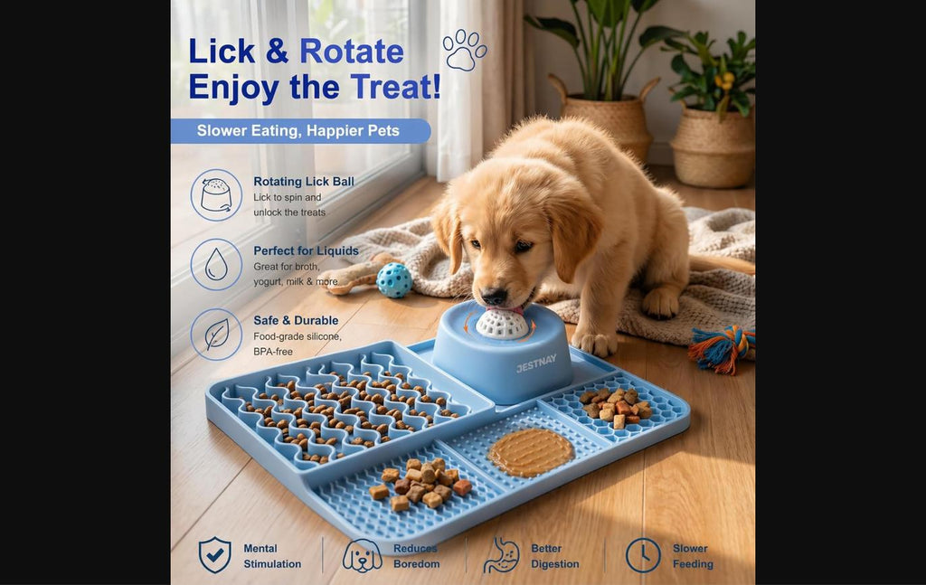 Dog Lick Mat & Slow Feeder Bowl Combo